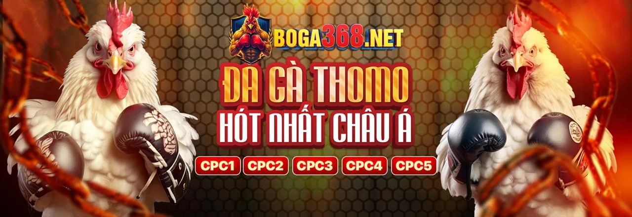 Banner tin tức shbet88 đăng nhập