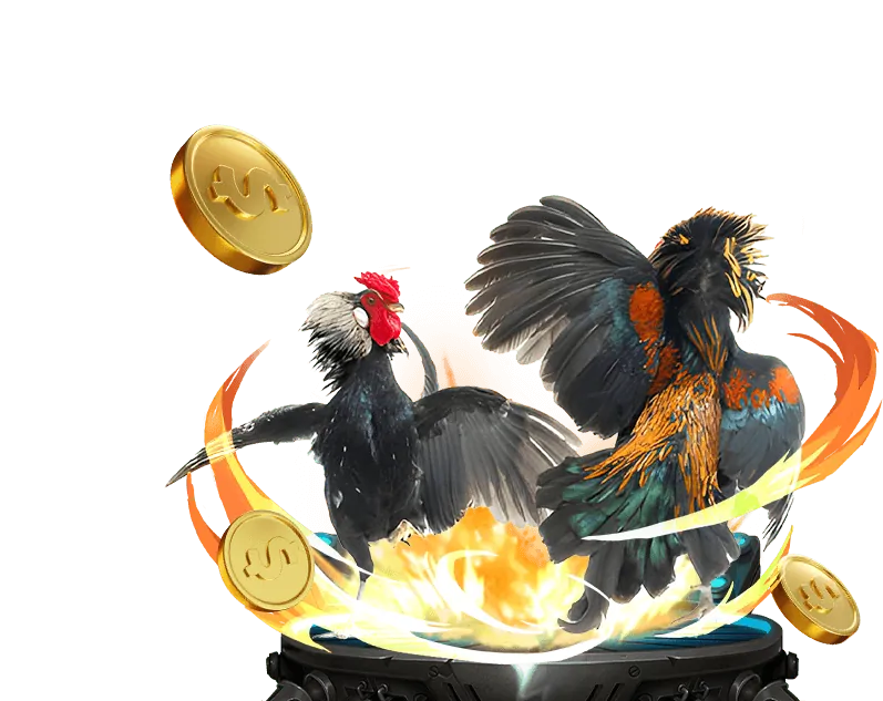 Phần thưởng hàng ngày và hoàn trả