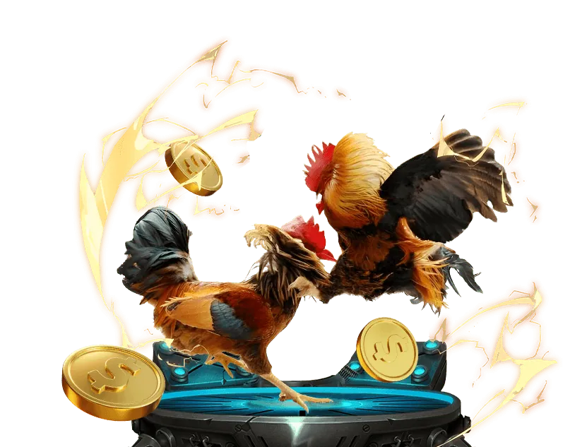 Lợi ích khi chọn SHBET88 để chơi đá gà